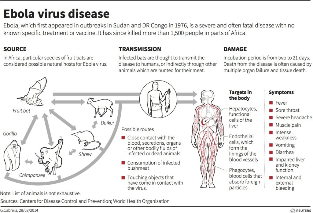 Ebola Virus Outbreak