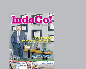 IndoGo January 2015